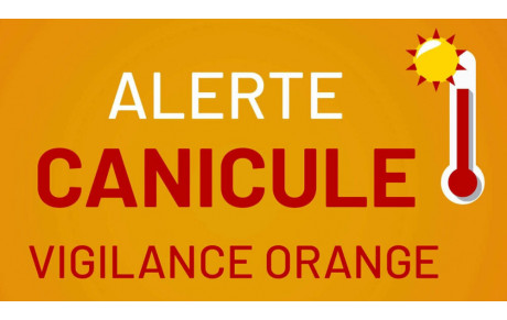 VIGILANCE CANICULE